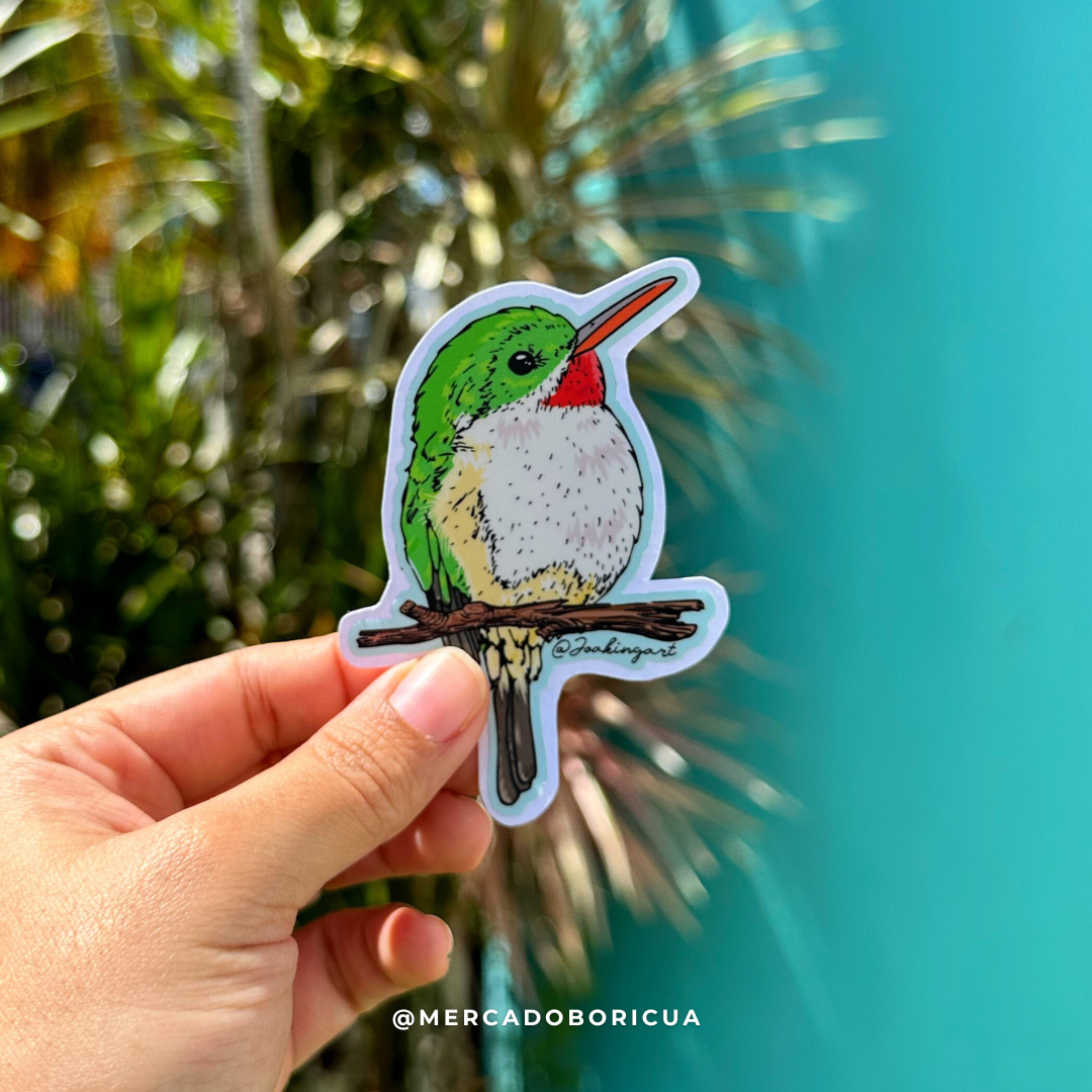 Sticker San Pedrito | Puertorican Tody