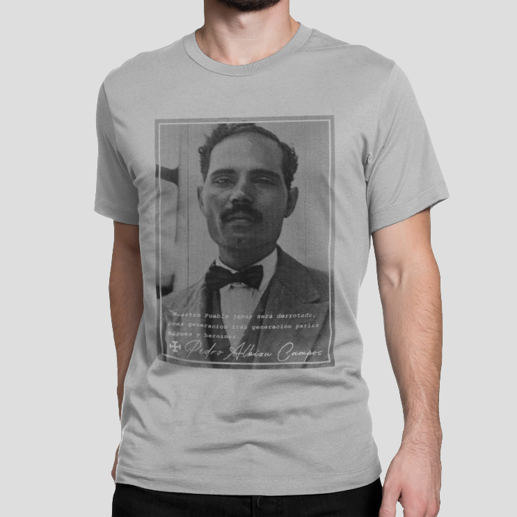 camiseta de albizu campos color gris claro