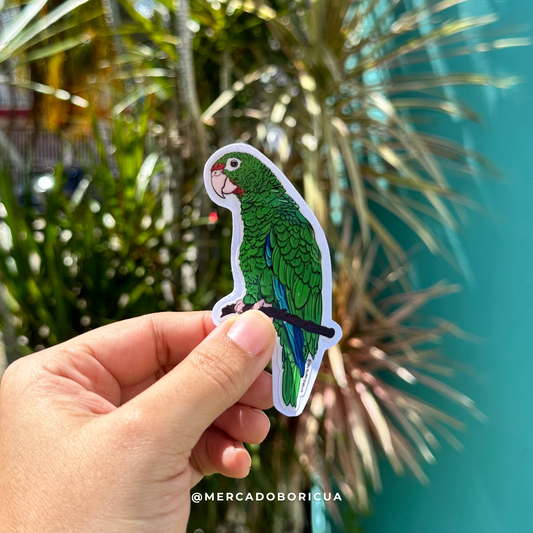 Puerto Rican Parrot Sticker | Vittata Amazon Iguaca | Puerto Rican Amazon