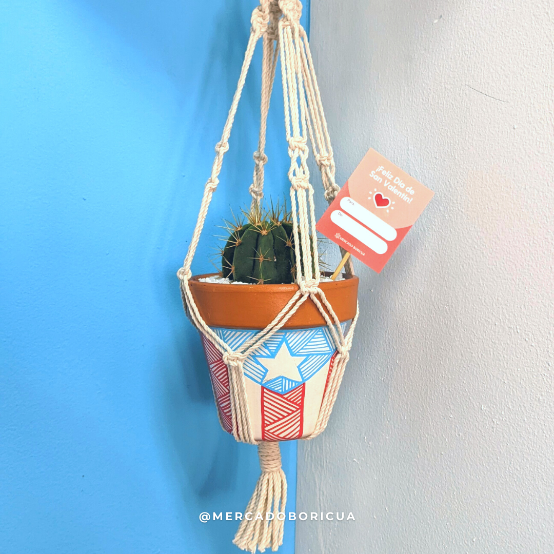 Hand Painted Pot with Hanging Macrame | I released