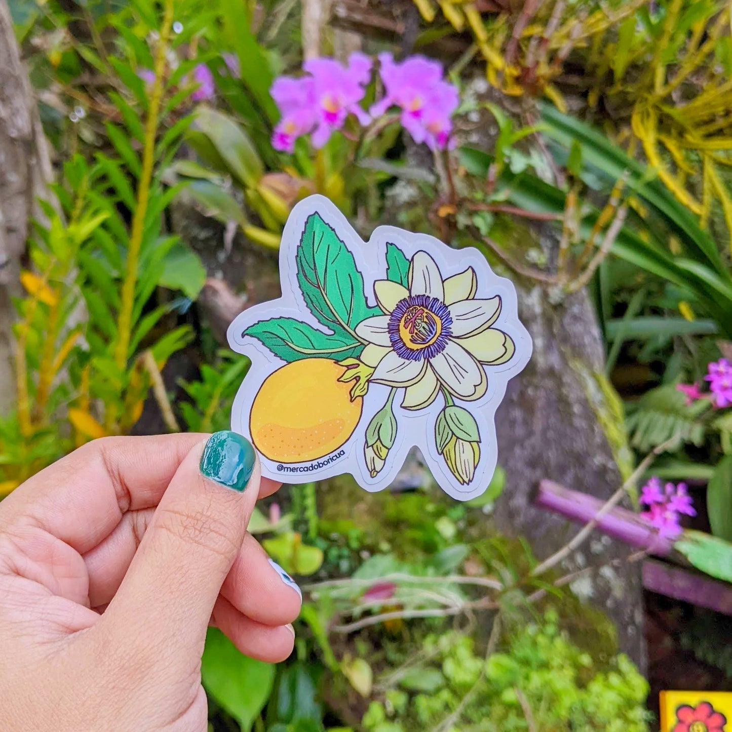 Sticker Flor de Parcha, Passiflora | Joaking